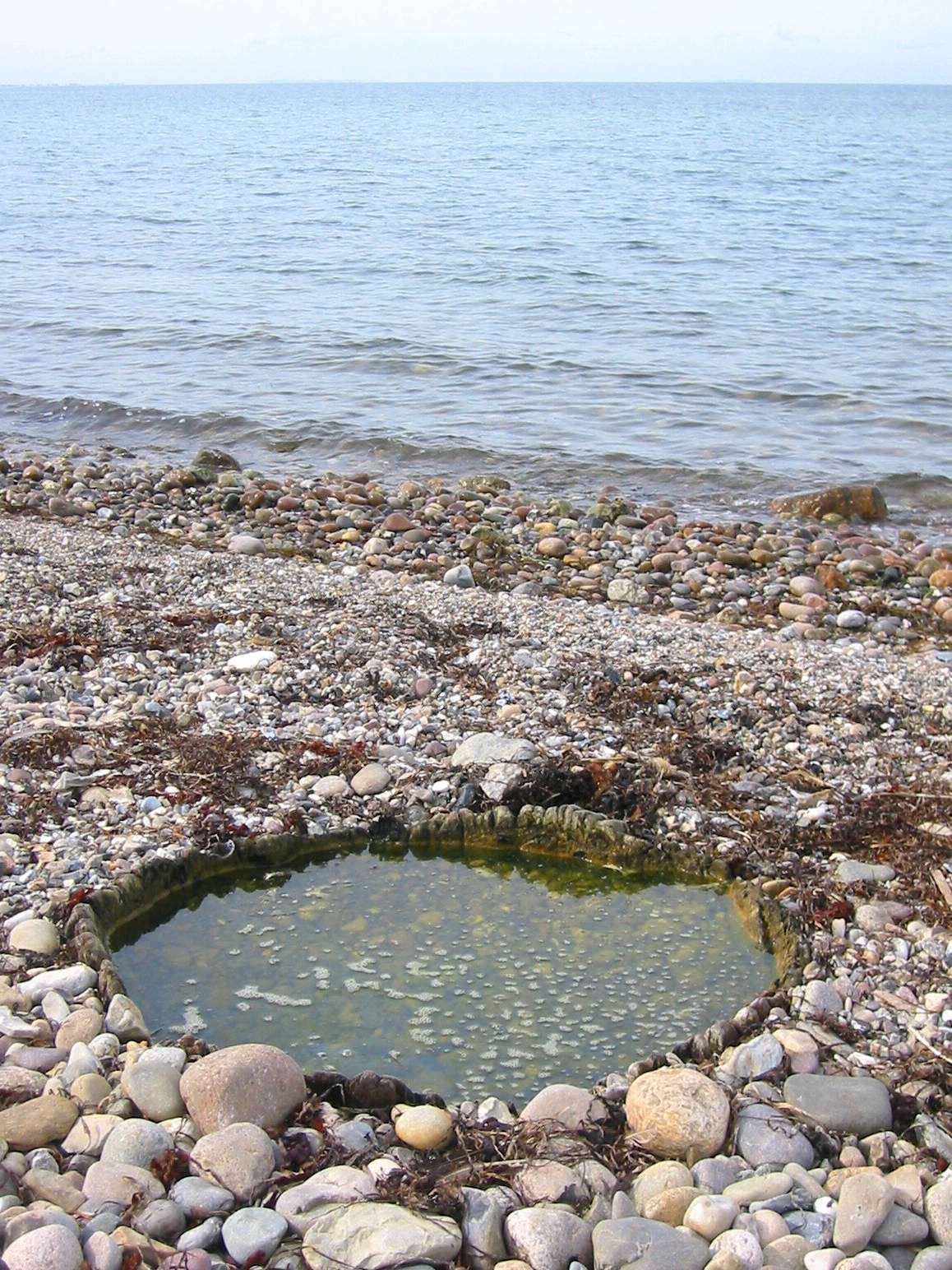 Ilsemade kilde, eine "heilige Quelle" am Weststrand Samsös, eingefasst mit einem Eichenstamm aus dem Jahr 940 v. Chr.