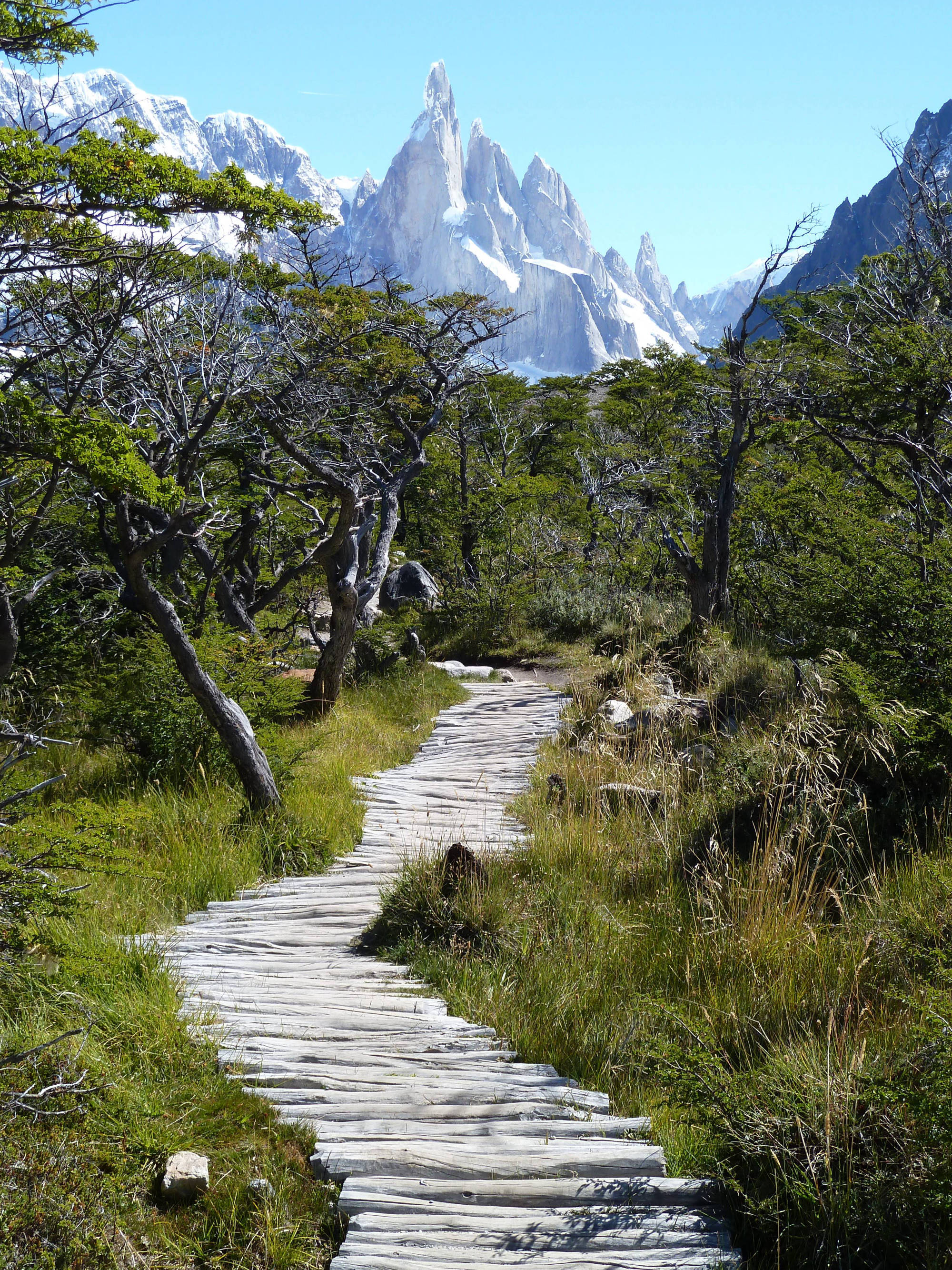 Cerro Torre