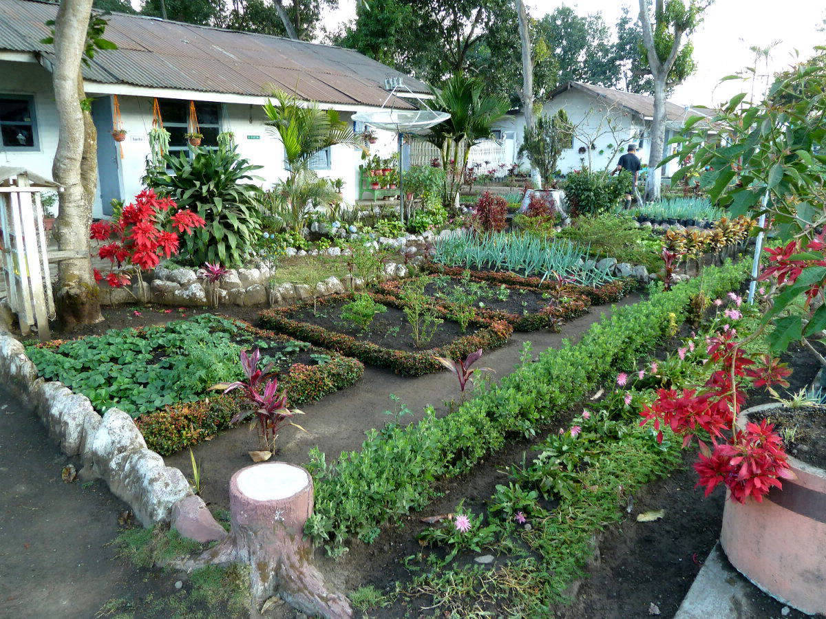 Garten im Kraterplateau des Khawa Ijen