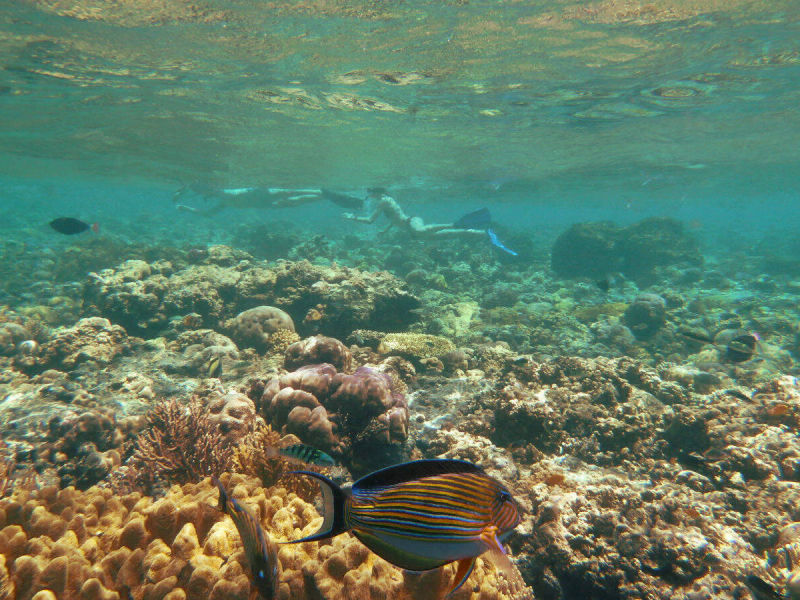 Schnorcheln an Balis Nordwestküste